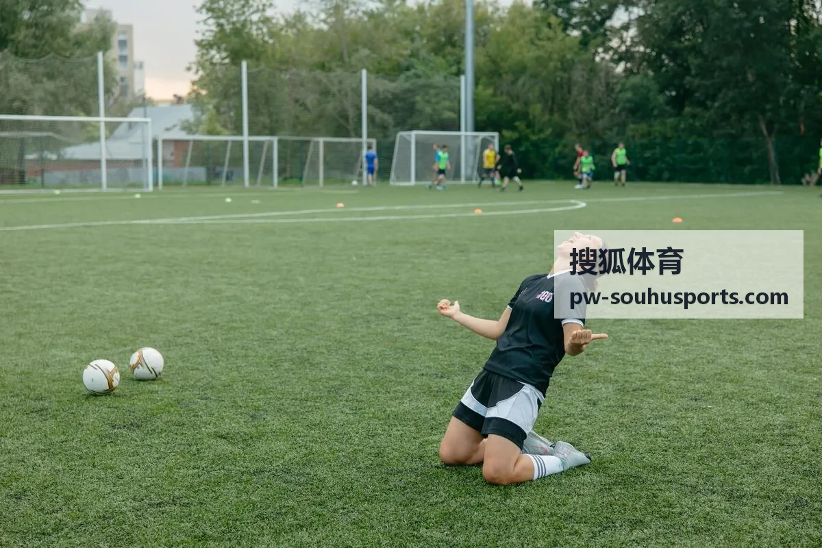 搜狐体育联赛积分榜数据